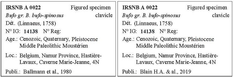 IRSNB A 0022 Labels