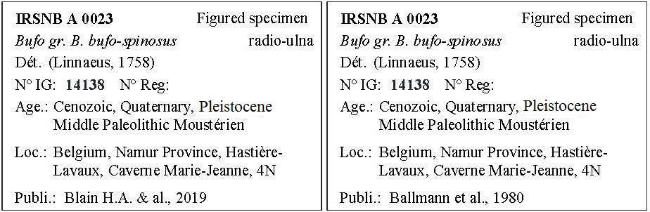 IRSNB A 0023 Labels