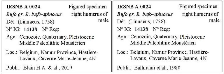 IRSNB A 0024 Labels