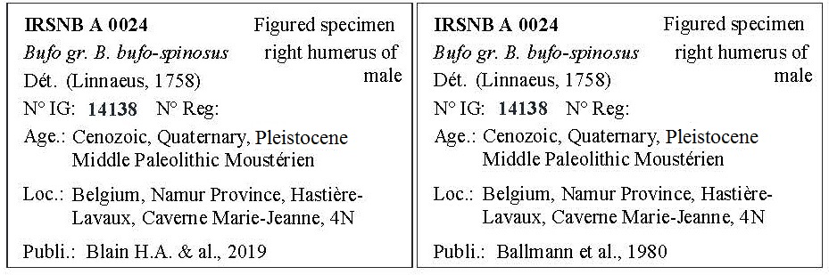 IRSNB A 0024 Labels