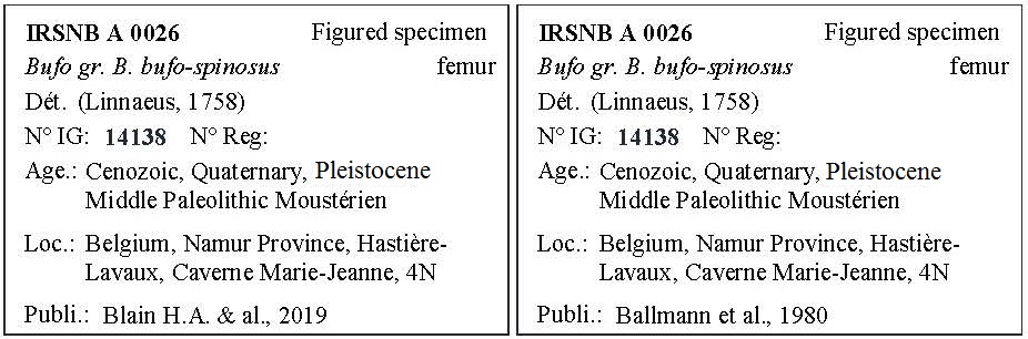 IRSNB A 0026 Labels