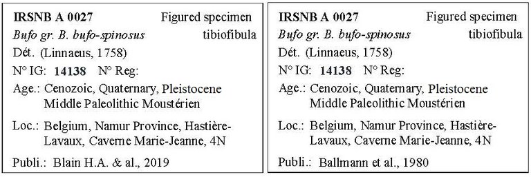 IRSNB A 0027 Labels