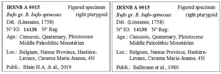 IRSNB A 0015 Labels