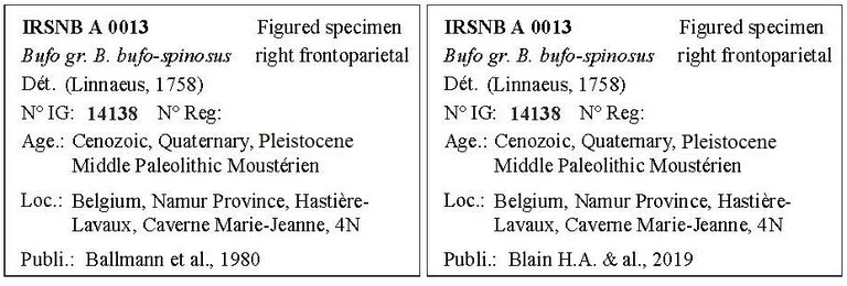 IRSNB A 0013 Labels