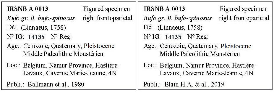 IRSNB A 0013 Labels