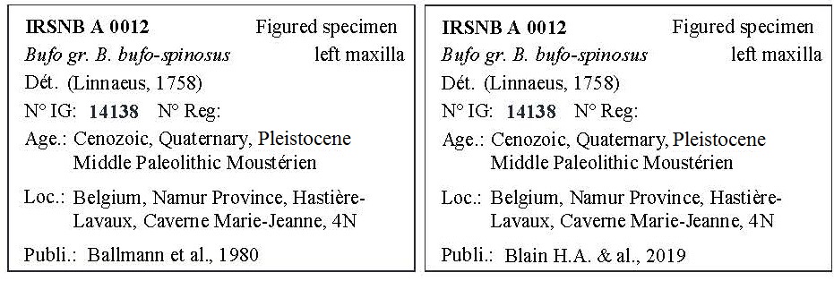 IRSNB A 0012 Labels