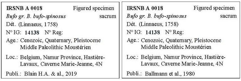 IRSNB A 0018 Labels
