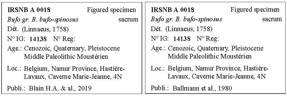 IRSNB A 0018 Labels