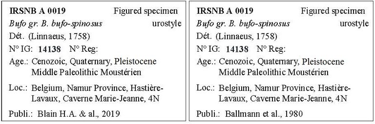 IRSNB A 0019 Labels