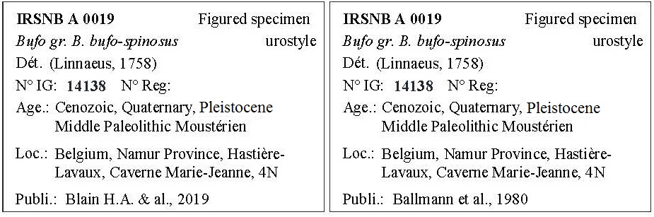 IRSNB A 0019 Labels