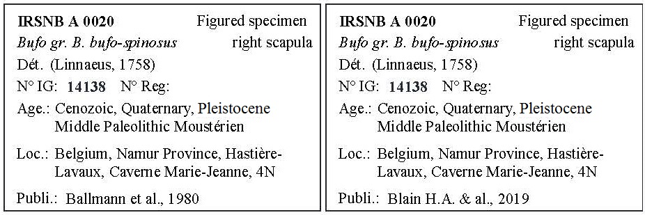 IRSNB A 0020 Labels