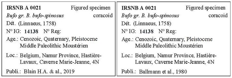 IRSNB A 0021 Labels