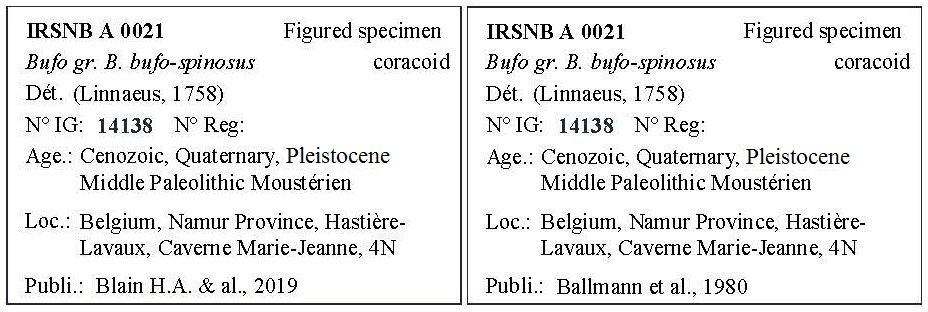 IRSNB A 0021 Labels