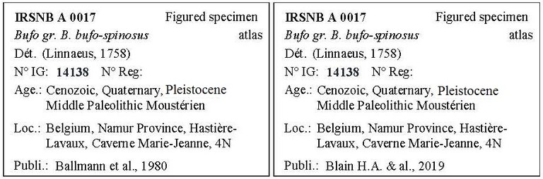 IRSNB A 0017 Labels