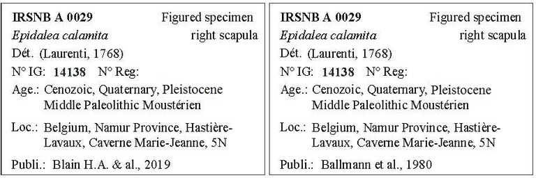 IRSNB A 0029 Labels