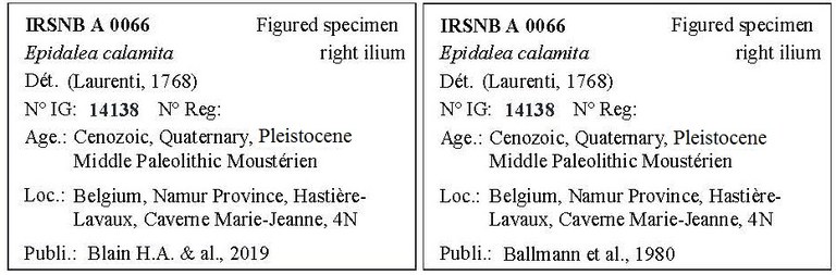 IRSNB A 0066 Labels