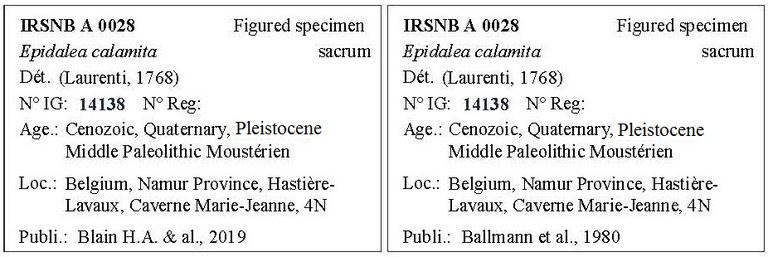 IRSNB A 0028 Labels