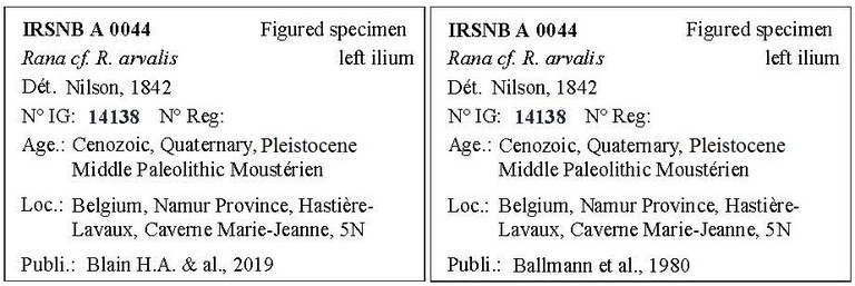 IRSNB A 0044 Labels