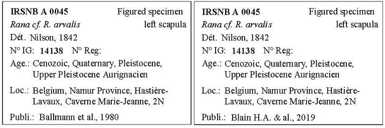 IRSNB A 0045 Labels