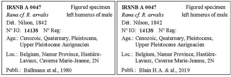 IRSNB A 0047 Labels