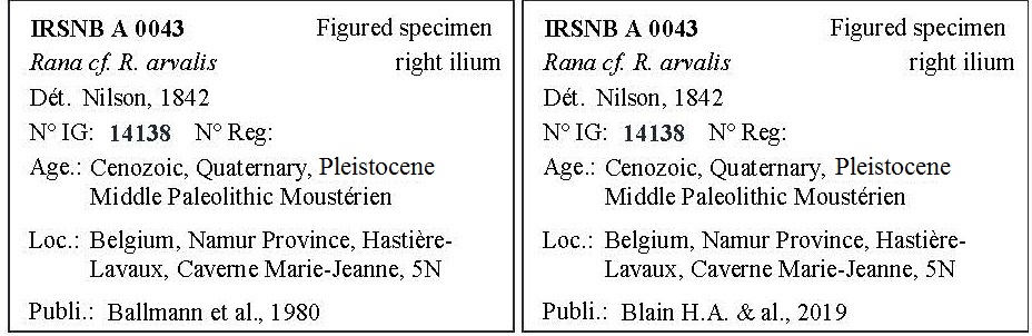 IRSNB A 0043 Labels