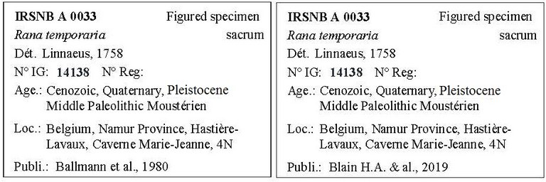 IRSNB A 0033 Labels