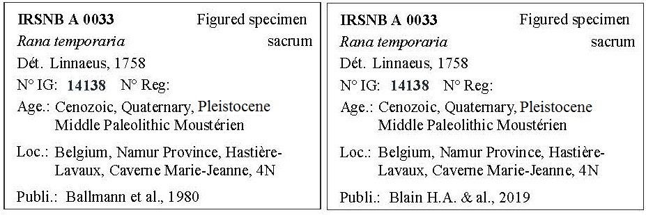 IRSNB A 0033 Labels