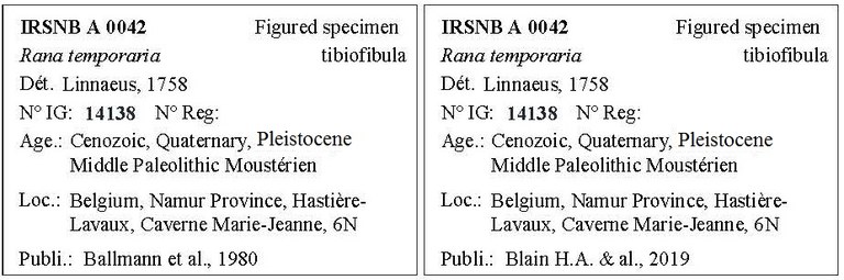 IRSNB A 0042 Labels