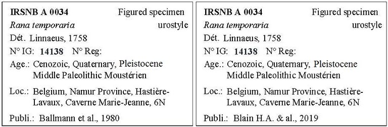 IRSNB A 0034 Labels