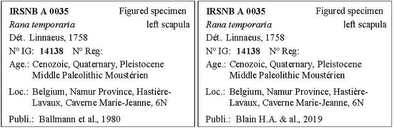 IRSNB A 0035 Labels