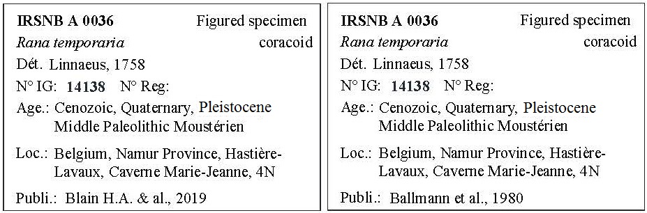 IRSNB A 0036 Labels