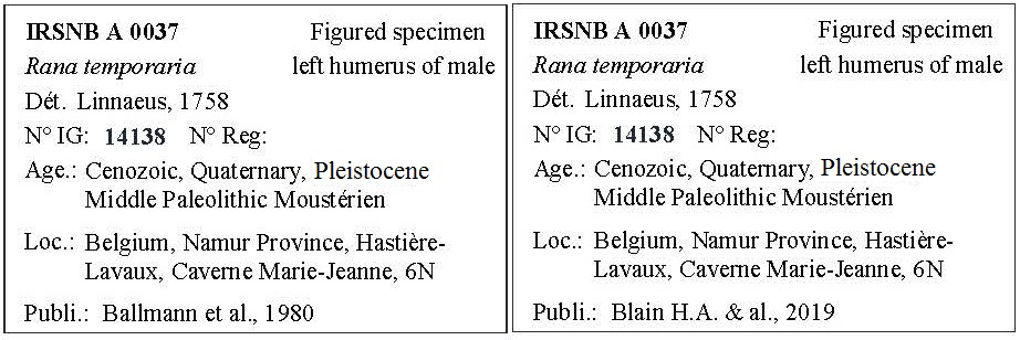 IRSNB A 0037 Labels