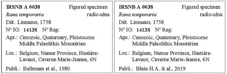 IRSNB A 0038 Labels
