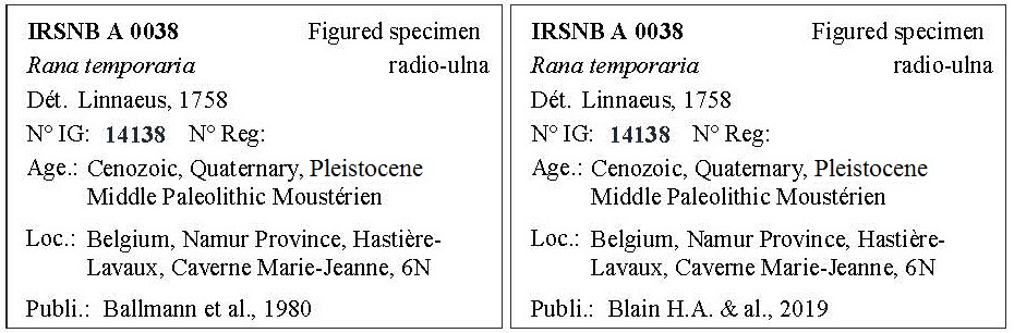 IRSNB A 0038 Labels