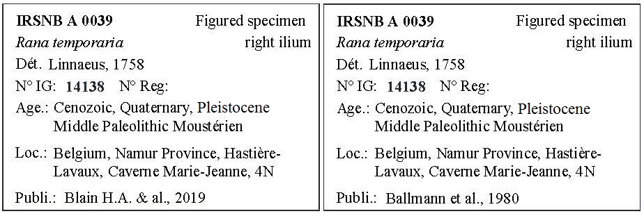 IRSNB A 0039 Labels