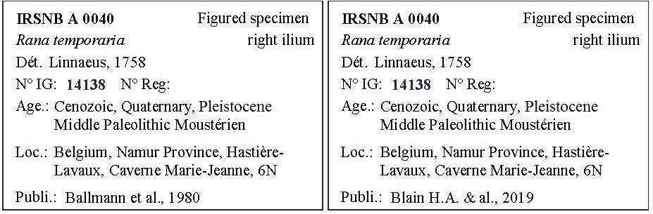 IRSNB A 0040 Labels