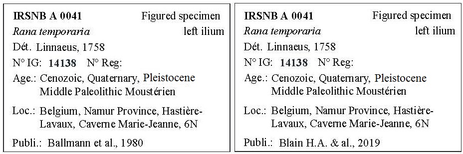IRSNB A 0041 Labels