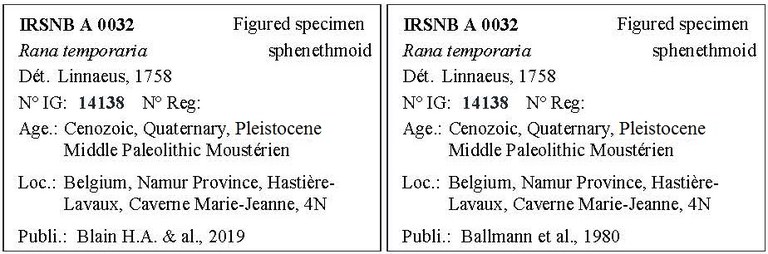 IRSNB A 0032 Labels