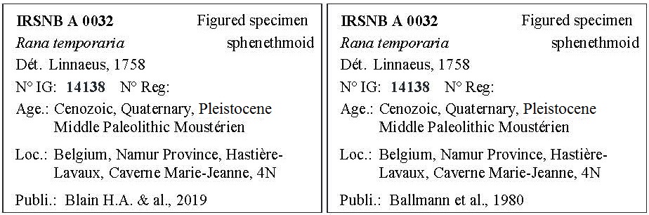 IRSNB A 0032 Labels
