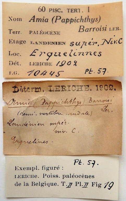 IRSNB P 00057 labels