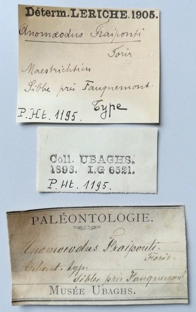 IRSNB P 01195 labels