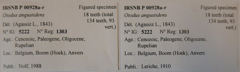 IRSNB P 00928a-r Labels IRSNB P 00928a-r Labels