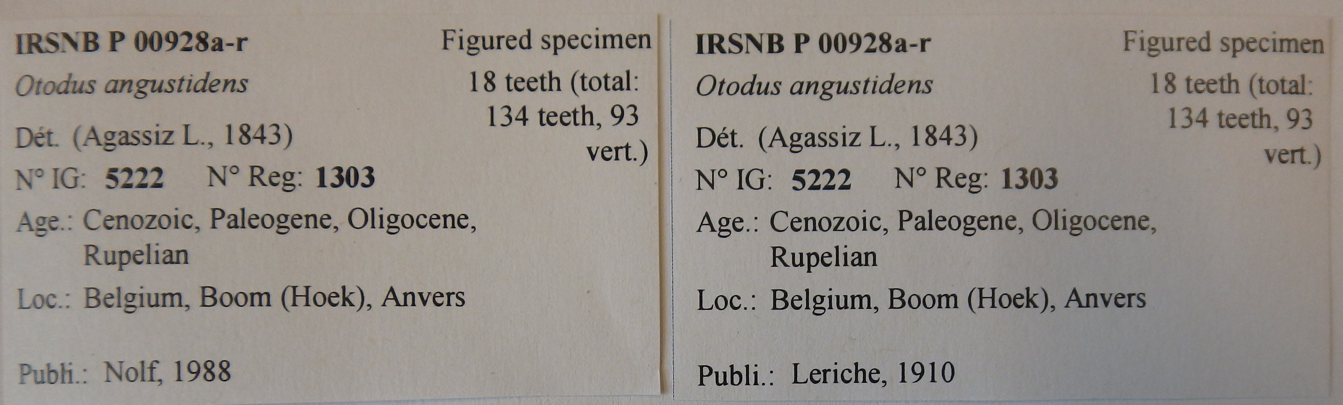 IRSNB P 00928a-r Labels
