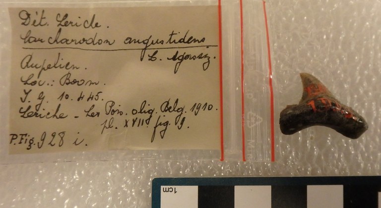 IRSNB P 00928i IRSNB P 00928i