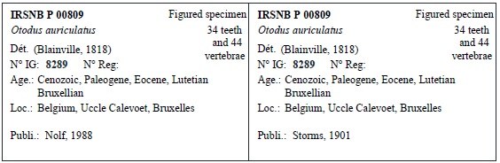 IRSNB P 00809 Labels