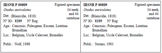 IRSNB P 00809 Labels