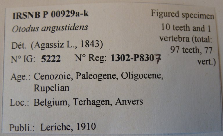 IRSNB P 00929a-k Label
