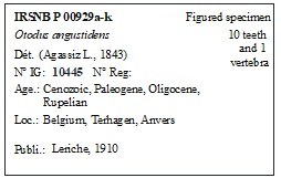 IRSNB P 00929a-k Label