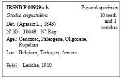 IRSNB P 00929a-k Label