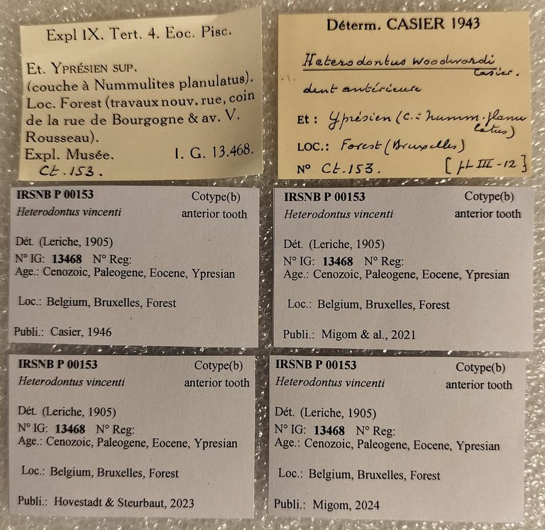 IRSNB P 00153 Labels